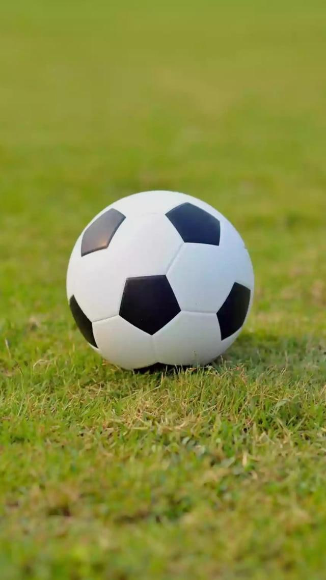 胜负彩足球500足彩分析应用界面展示